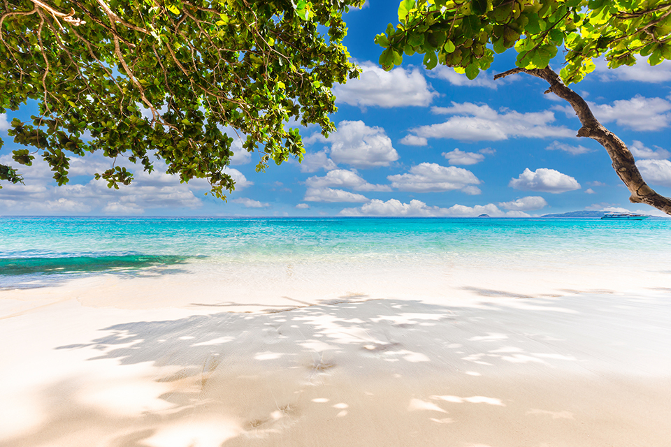 ทัวร์เซเชลส์ Image4