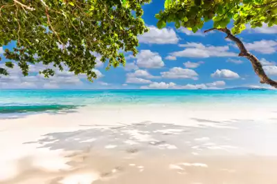 ทัวร์เซเชลส์ Image4