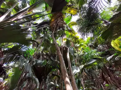 ทัวร์เซเชลส์ Image13