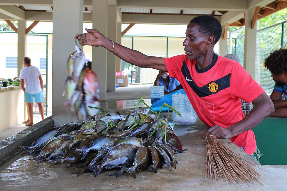 ทัวร์เซเชลส์ Image23