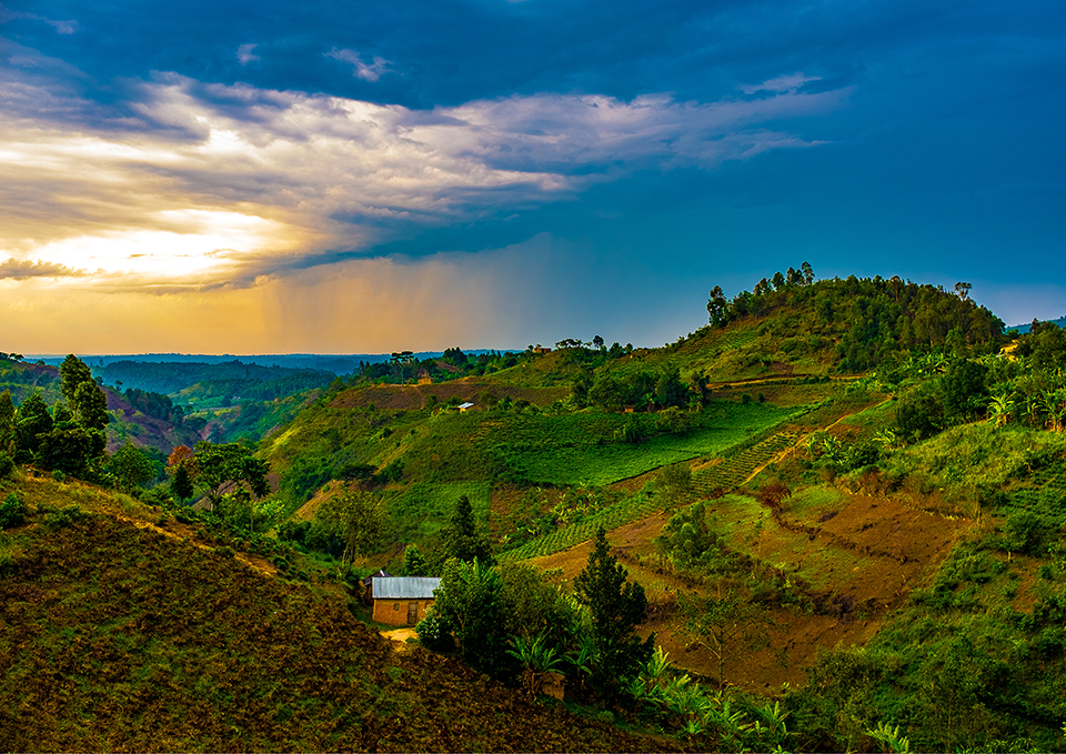 ทัวร์รวันดา Image1