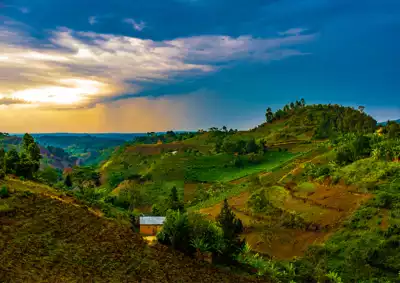 ทัวร์รวันดา Image1