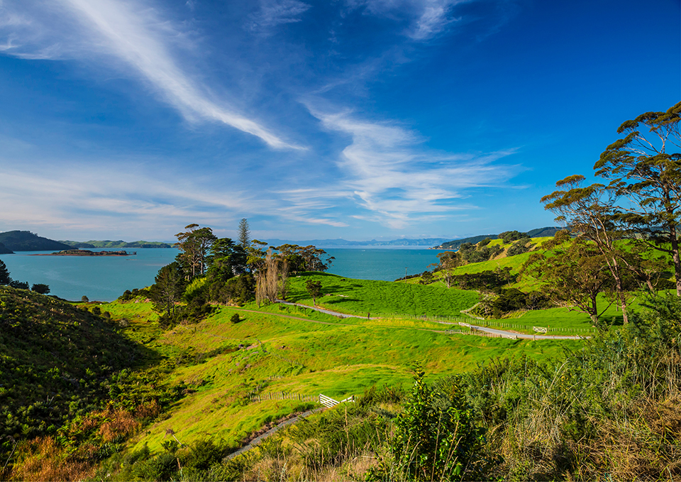 ทัวร์รวันดา Image2