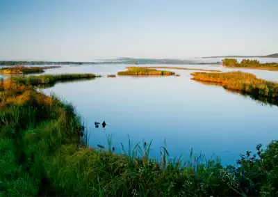 ทัวร์รวันดา Image8