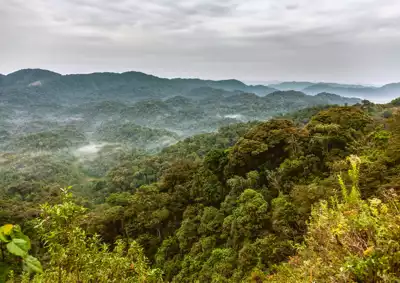 ทัวร์รวันดา Image14