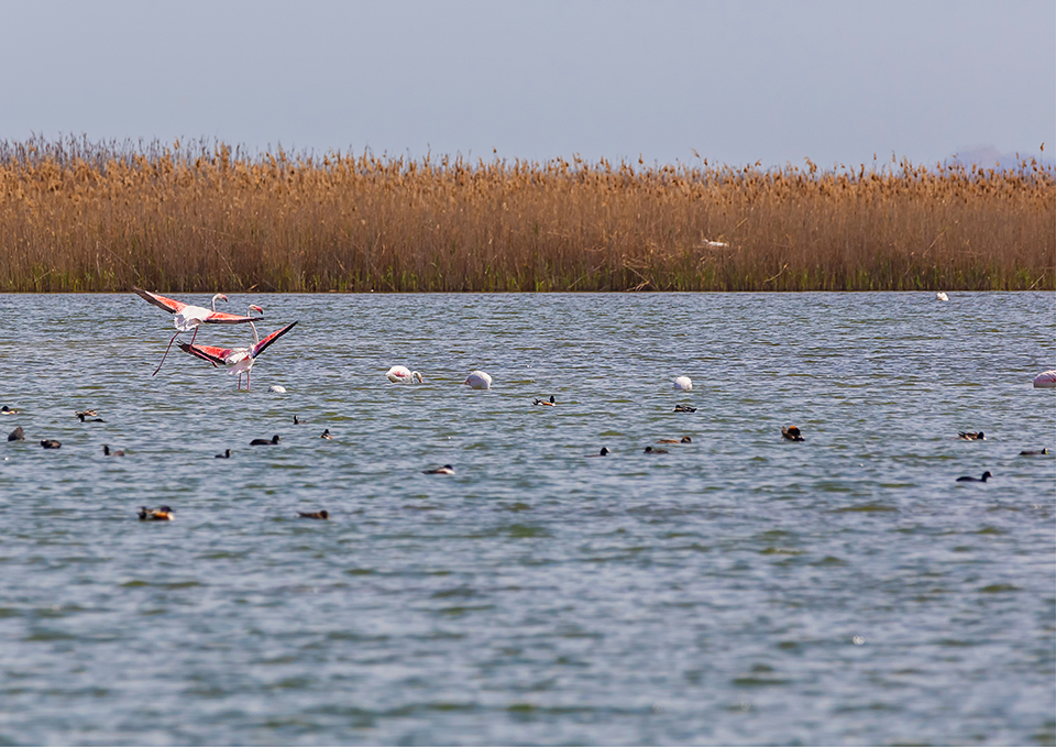 ทัวร์อาเซอร์ไบจาน Image11