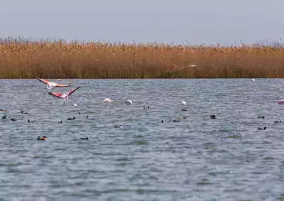 ทัวร์อาเซอร์ไบจาน Image11