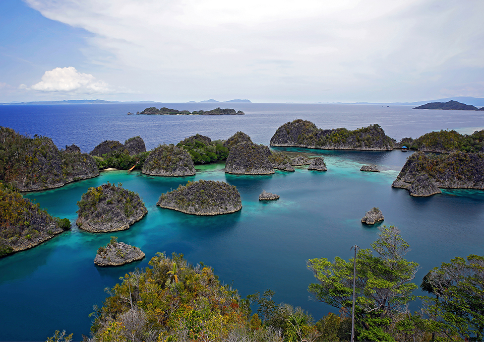 ทัวร์อินโดนีเซีย Image19