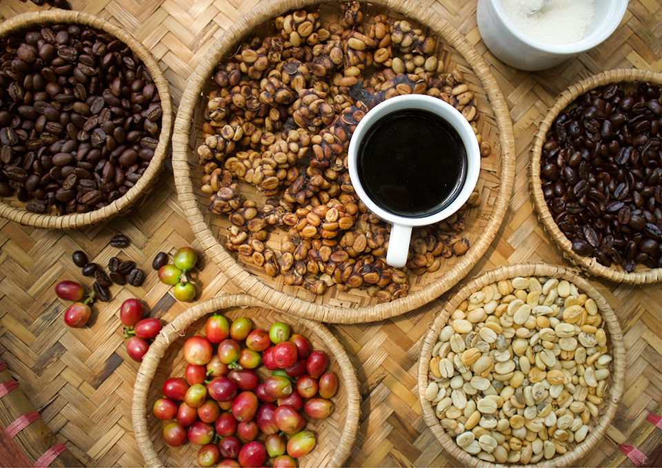 ทัวร์อินโดนีเซีย Image26