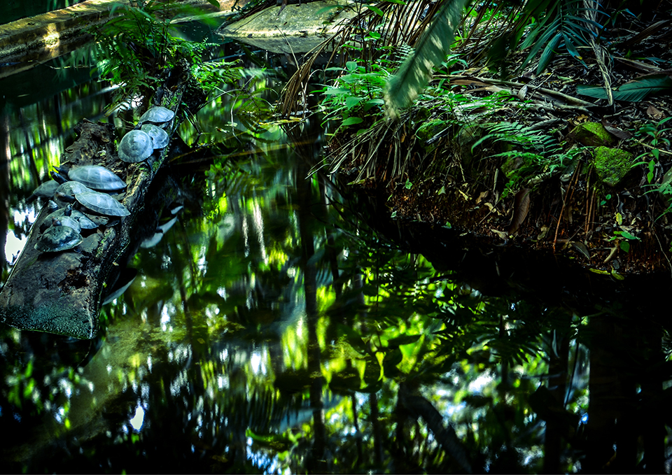 ทัวร์บราซิล Image15