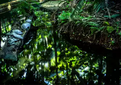 ทัวร์บราซิล Image15