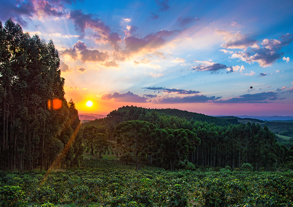 ทัวร์บราซิล Image20