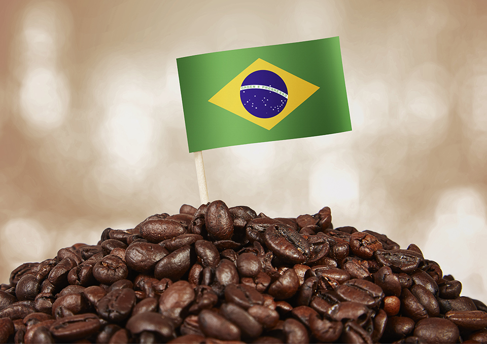 ทัวร์บราซิล Image25