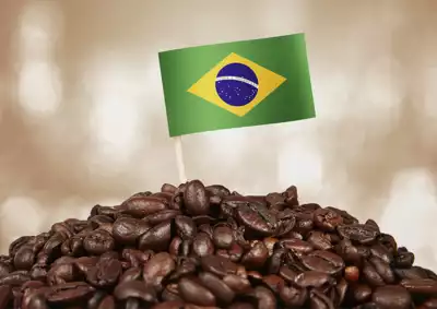 ทัวร์บราซิล Image25