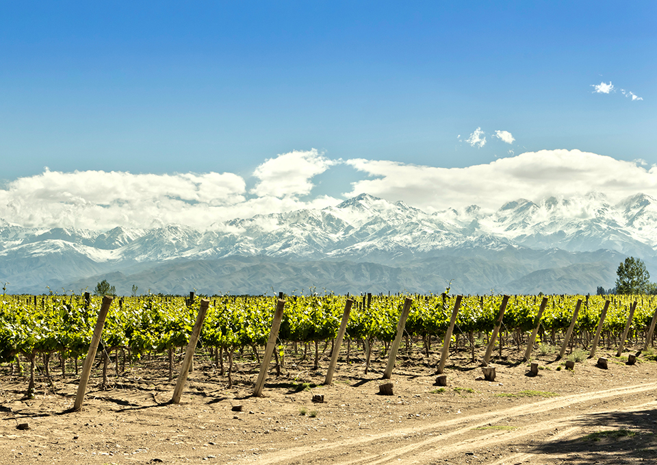 ทัวร์อาร์เจนตินา Image7