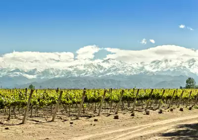 ทัวร์อาร์เจนตินา Image7