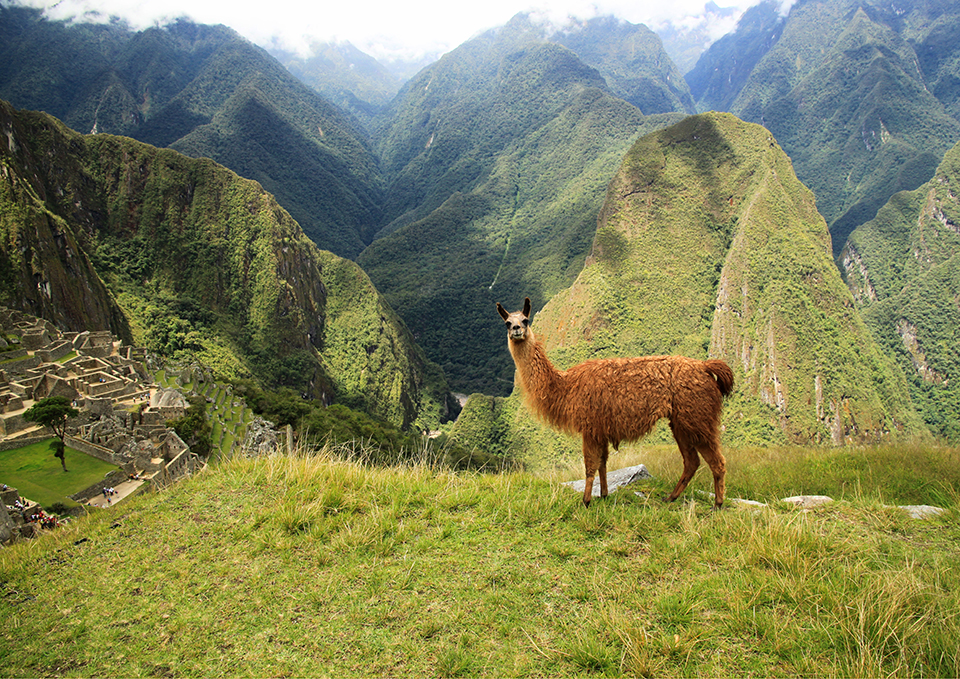 ทัวร์เปรู Image8