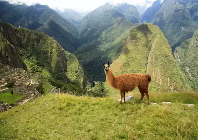 ทัวร์เปรู Image8