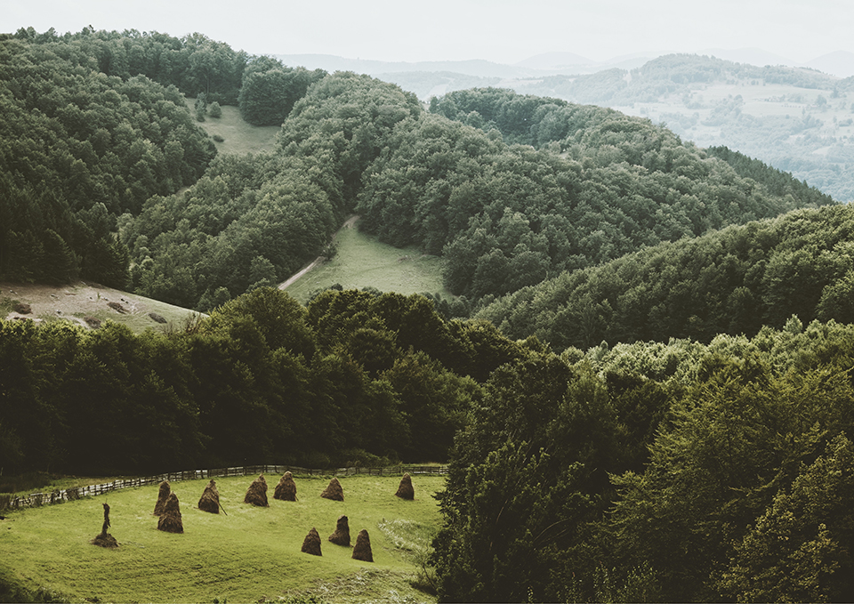 ทัวร์โรมาเนีย เทือกเขาทรานซิลวาเนีย Image13