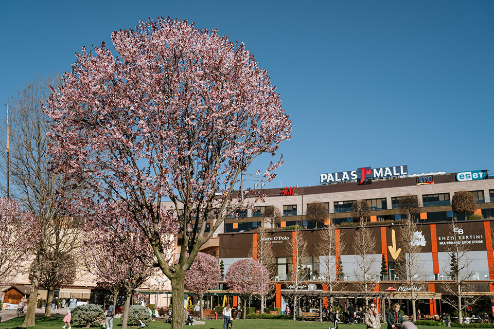 ทัวร์โรมาเนีย พาเลซมอลล์ (Palas Mall) Image22