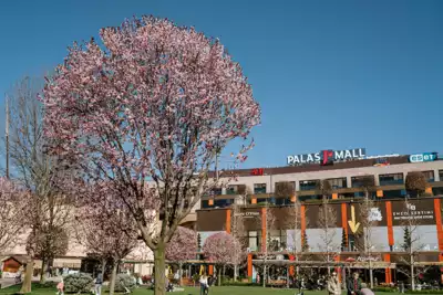 ทัวร์โรมาเนีย พาเลซมอลล์ (Palas Mall) Image22