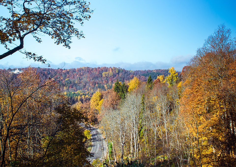 ทัวร์ลัตเวีย Image5