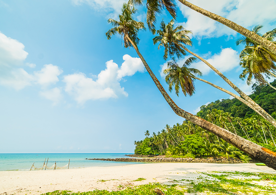 ทัวร์วานูอาตู ทอร์บา (Torba) Image7