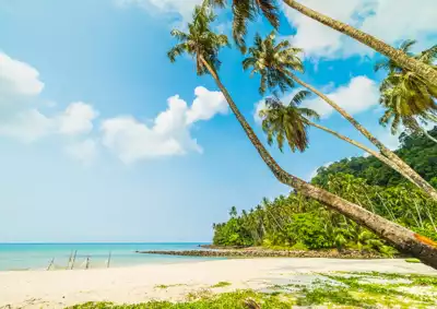 ทัวร์วานูอาตู ทอร์บา (Torba) Image7