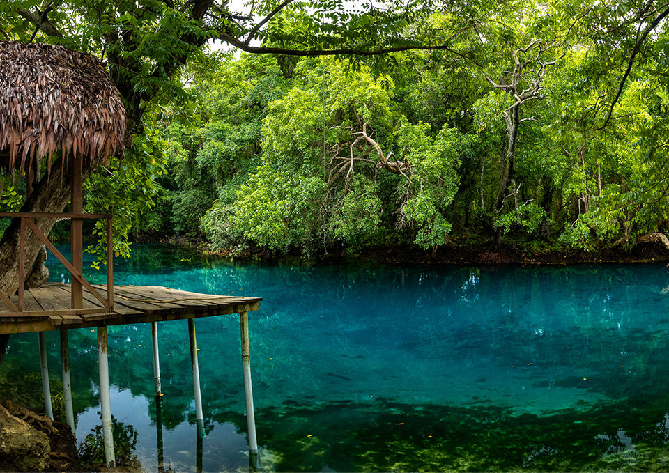 ทัวร์วานูอาตู มาเตวูลู บลู โฮล (Matevulu Blue Hole) Image10