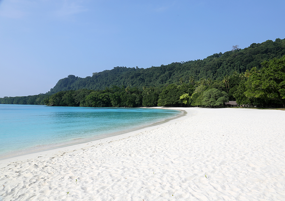 ทัวร์วานูอาตู หาดแชมเปญ (Champagne Beach) Image12
