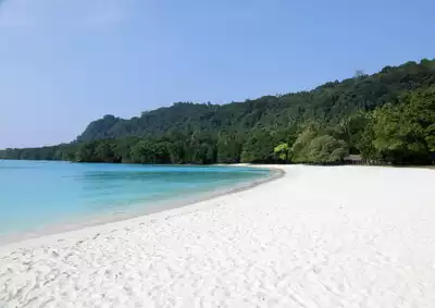 ทัวร์วานูอาตู หาดแชมเปญ (Champagne Beach) Image12