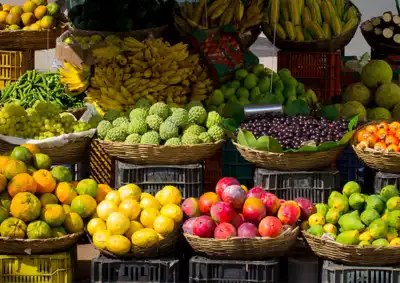 ทัวร์วานูอาตู Image17