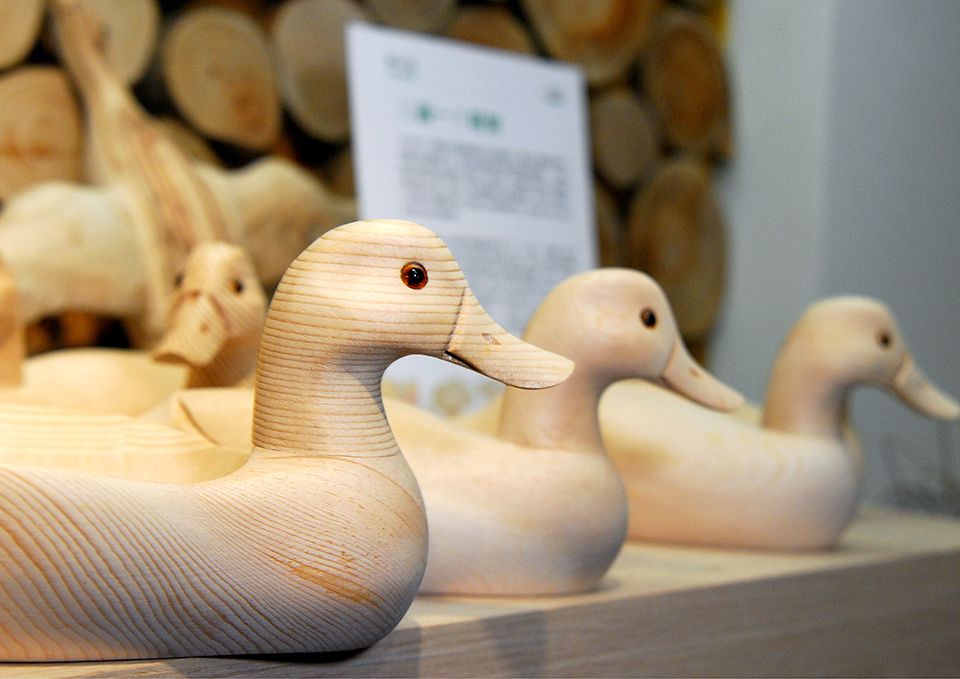 ทัวร์วานูอาตู Image19