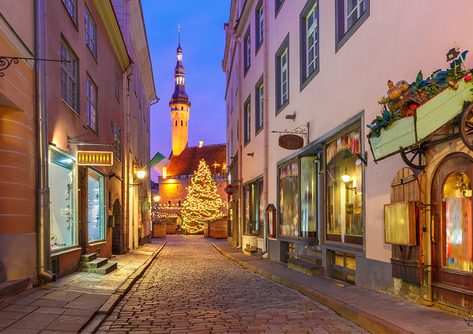ทัวร์เอสโตเนีย Image8