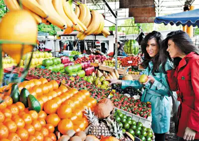 ทัวร์เอสโตเนีย Image20