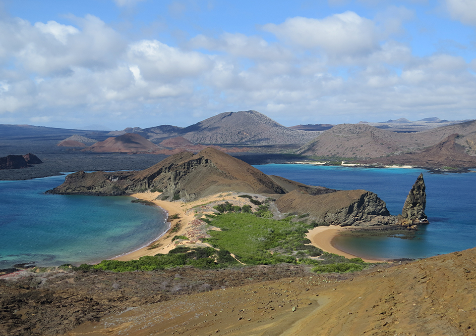 ทัวร์เอกวาดอร์ หมู่เกาะกาลาปากอส (Galapagos Islands) Image9