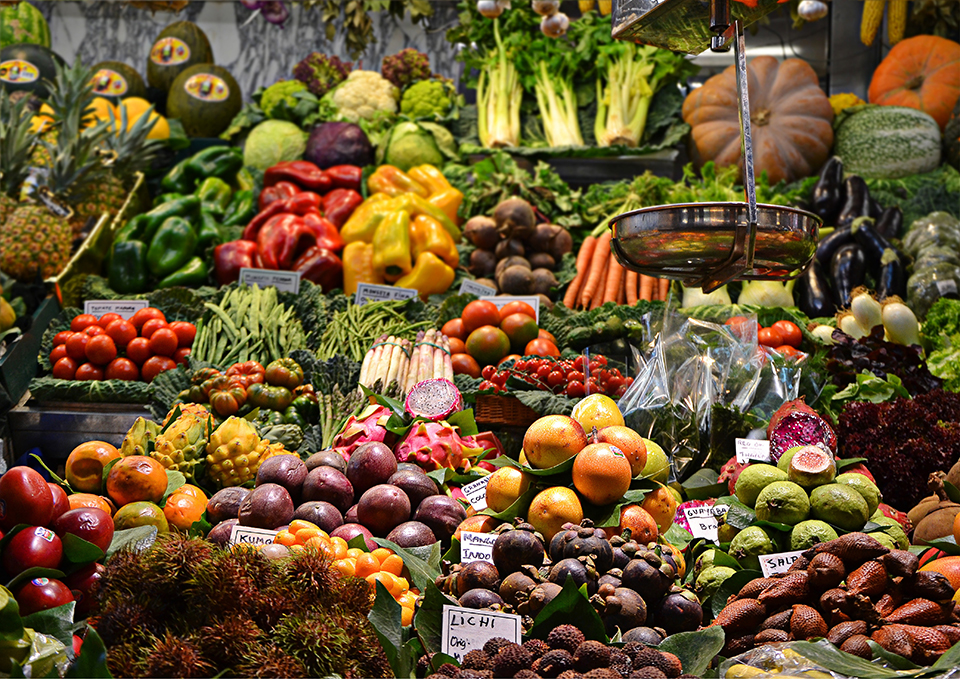 ทัวร์เอกวาดอร์ Image19