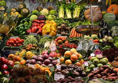 ทัวร์เอกวาดอร์ Image19