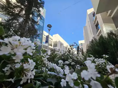 ทัวร์แอลจีเรีย Image22