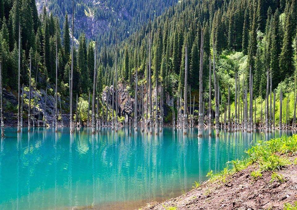 ทัวร์คาซัคสถาน ทะเลสาบเคนดี้ (Lake Kaindy) Image12