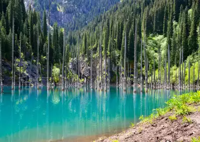 ทัวร์คาซัคสถาน ทะเลสาบเคนดี้ (Lake Kaindy) Image12