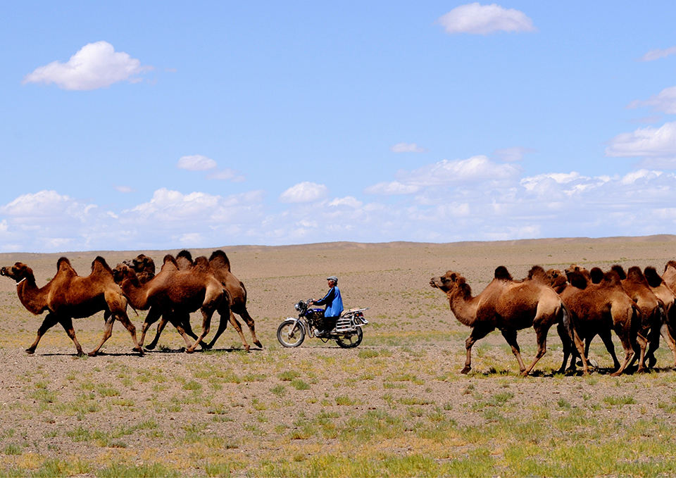 ทัวร์มองโกเลีย Image3