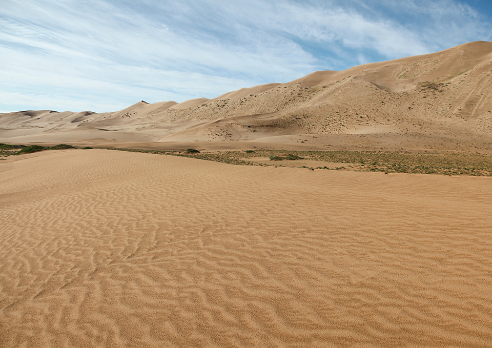 ทัวร์มองโกเลีย เนินทราย Khongoryn Els Image11