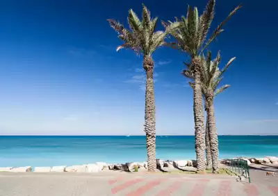 ทัวร์อิสราเอล Image13