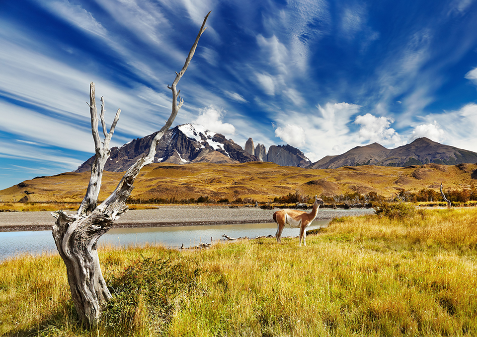 ทัวร์ชิลี Image12