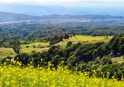 ทัวร์ปานามา Image6