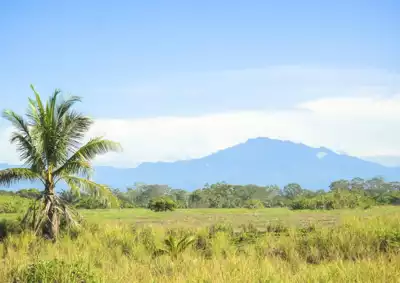 ทัวร์ปานามา Image12