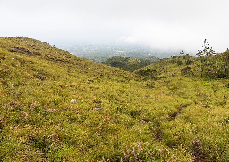 ทัวร์ปานามา Image18