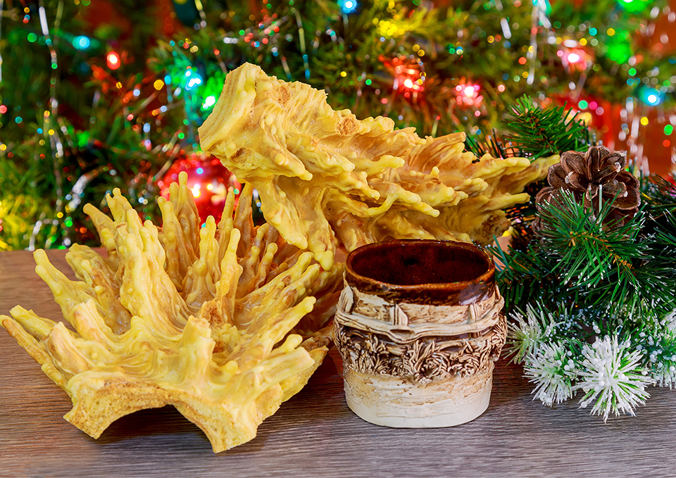 ทัวร์ลิทัวเนีย Image24