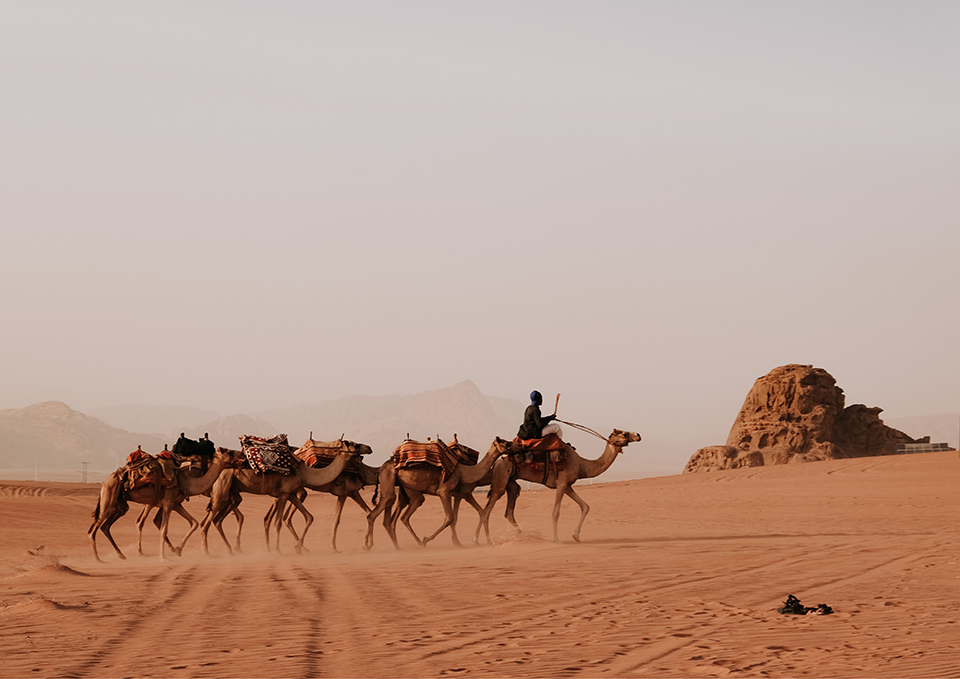 ทัวร์จอร์แดน Image9